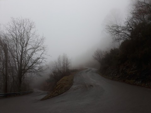 Nebbia