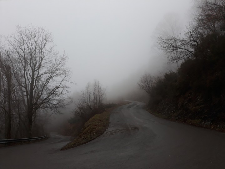 Nebbia