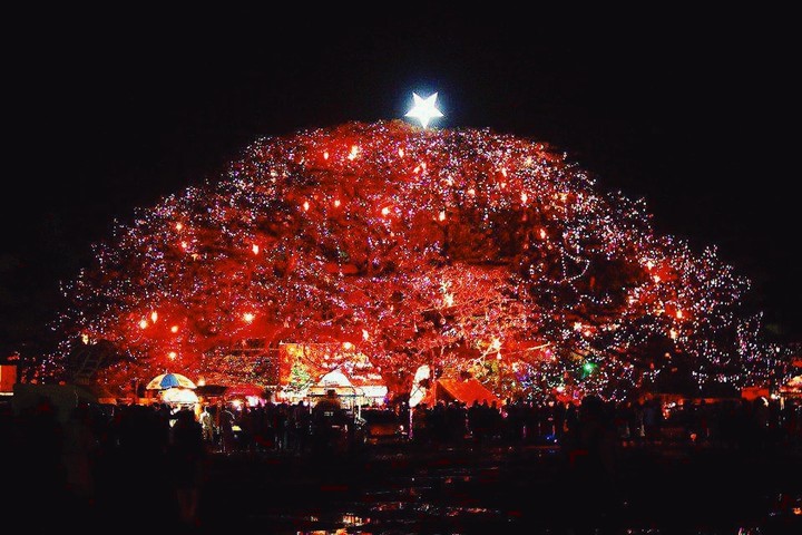 xmas tree