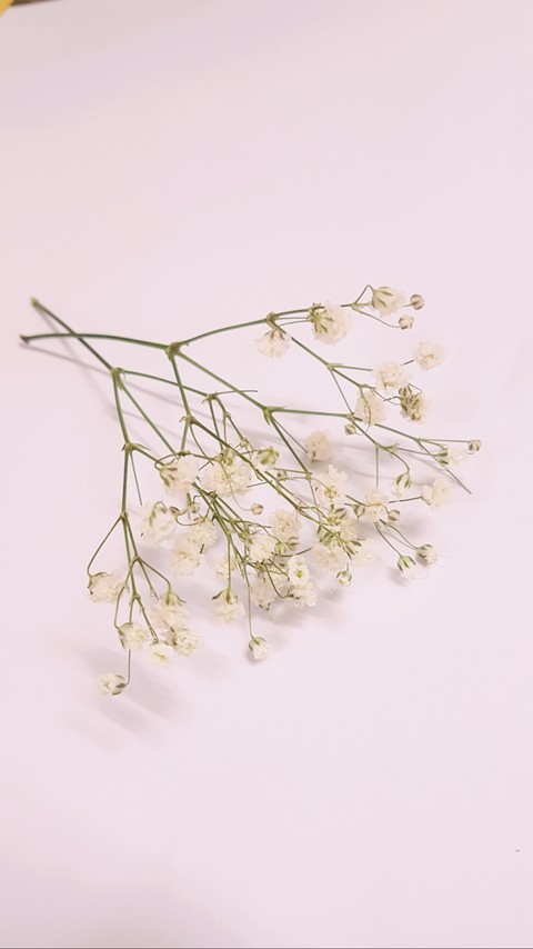 79