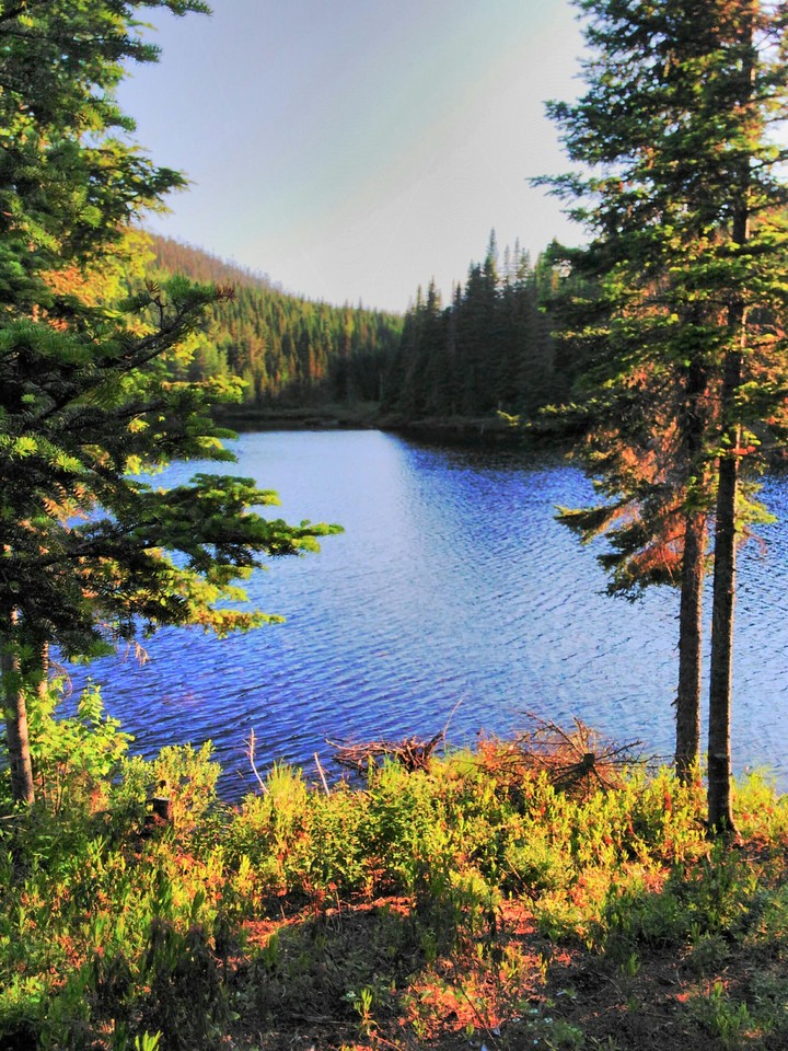 Fishing Spot