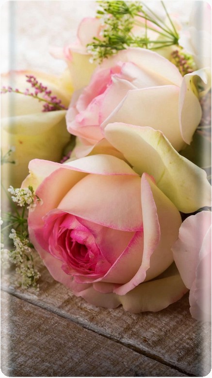 Roses