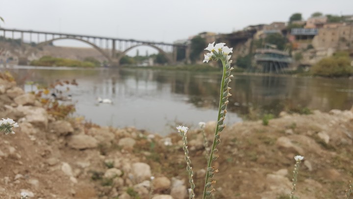 #hasankeyf #batman #tarih