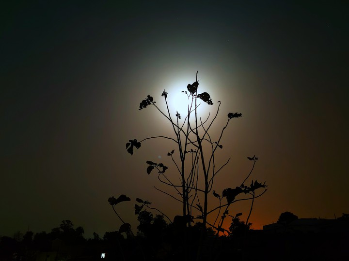 Moonlight_2