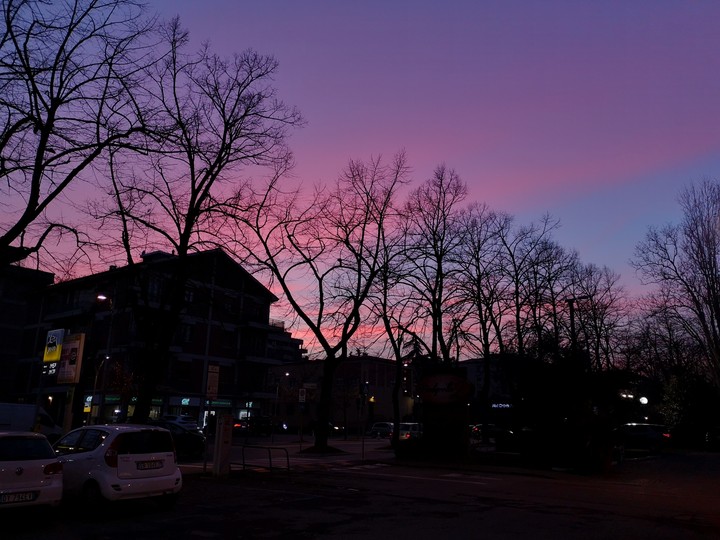 The colors