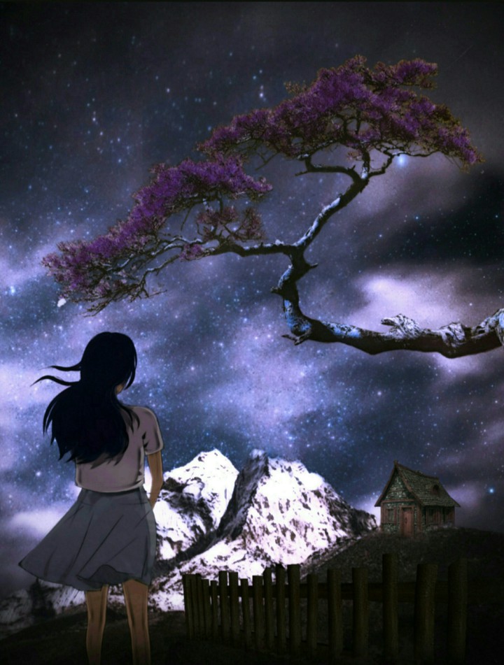 My Soul is Searching for You ...