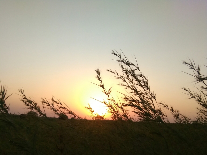 sunset....