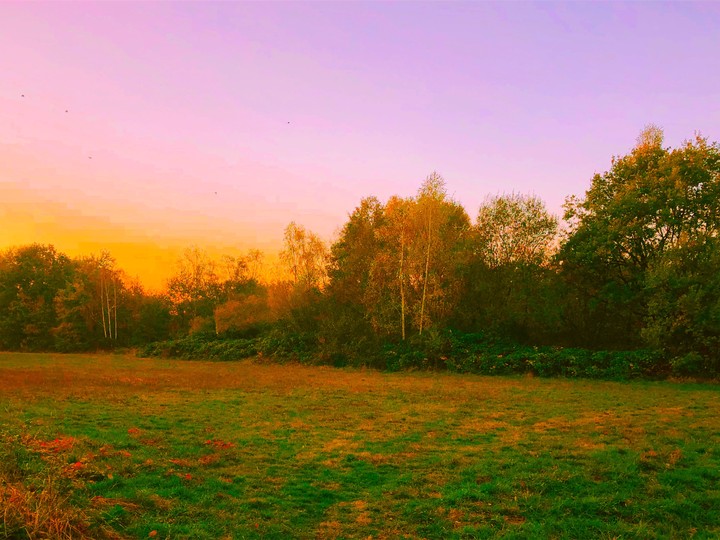 Autumn
