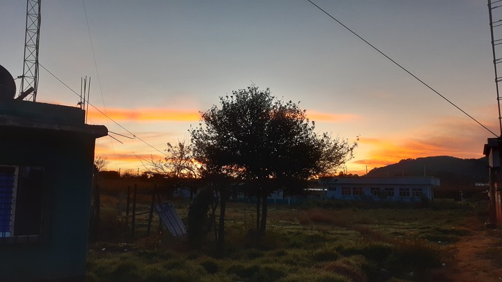 la luz renaciente