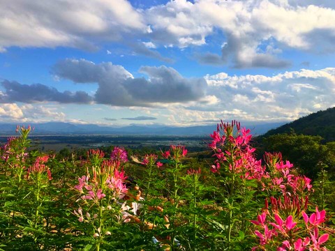 The scenery of Myanmar.Love is!!!!!!!!!