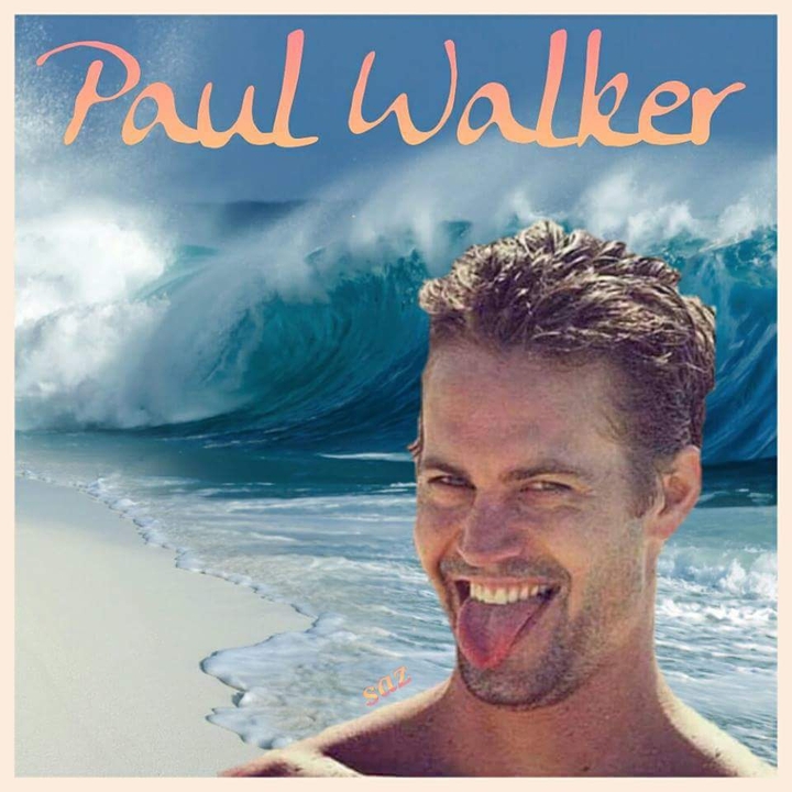 memoire paul walker