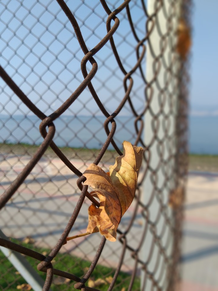 my click