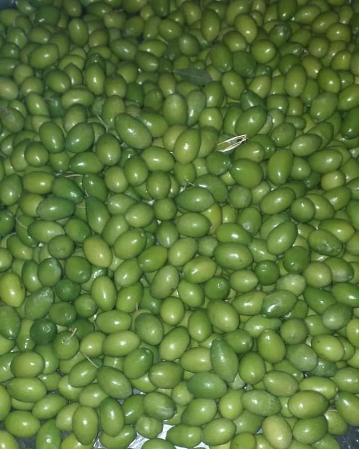 zeytin