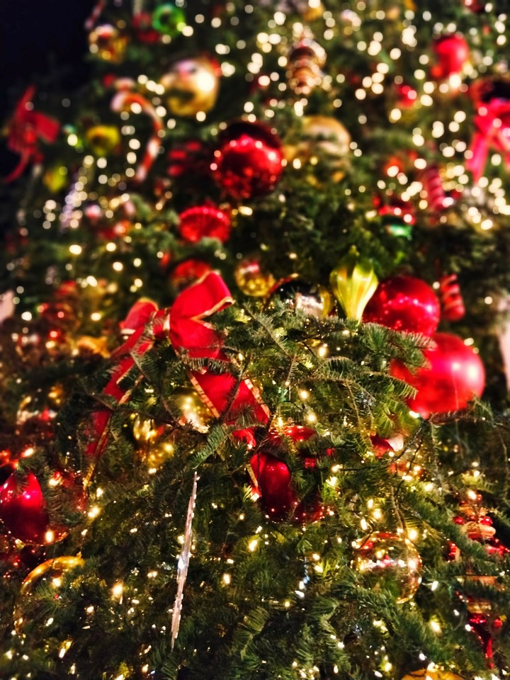 Navidad