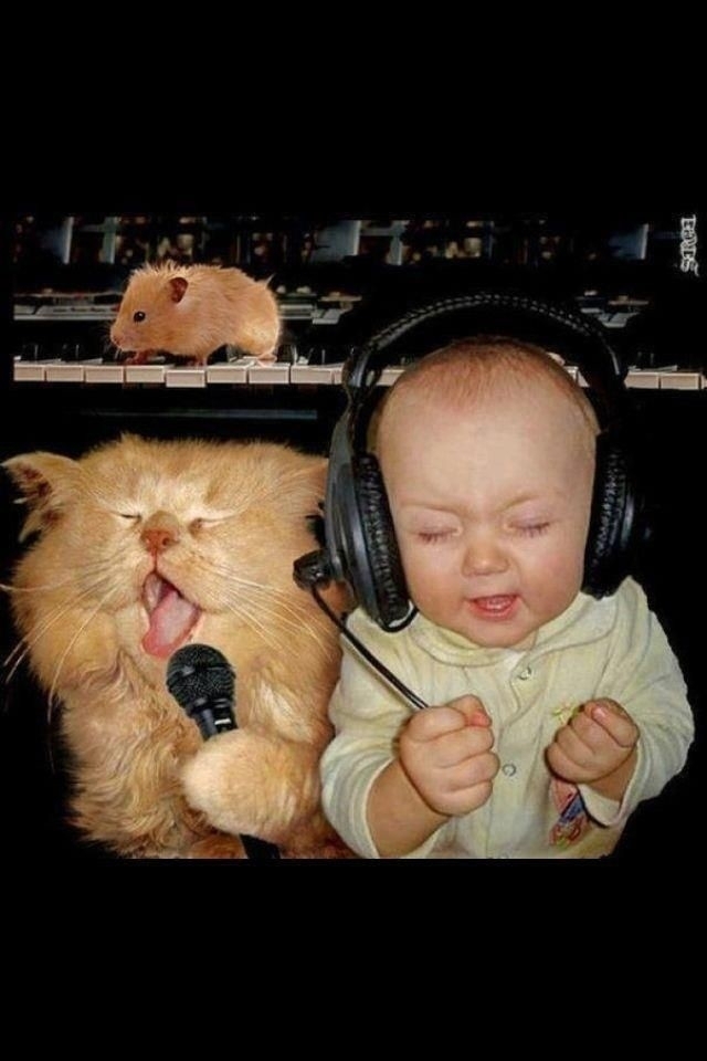 funny and lovely