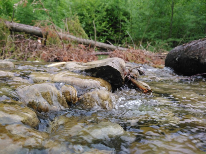 Mountain river