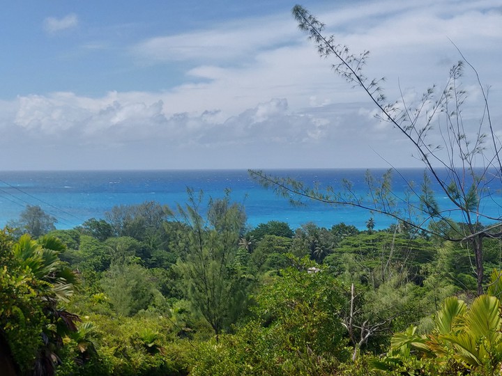 Sea view from mountain