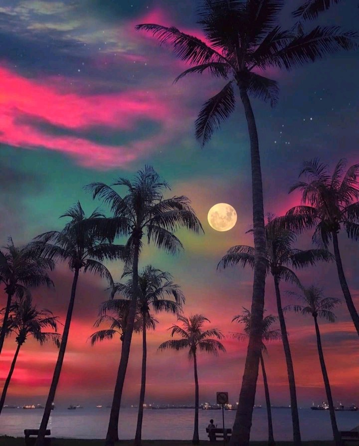 Nature