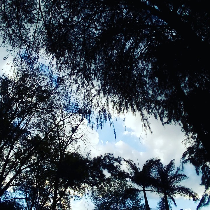 Sky
