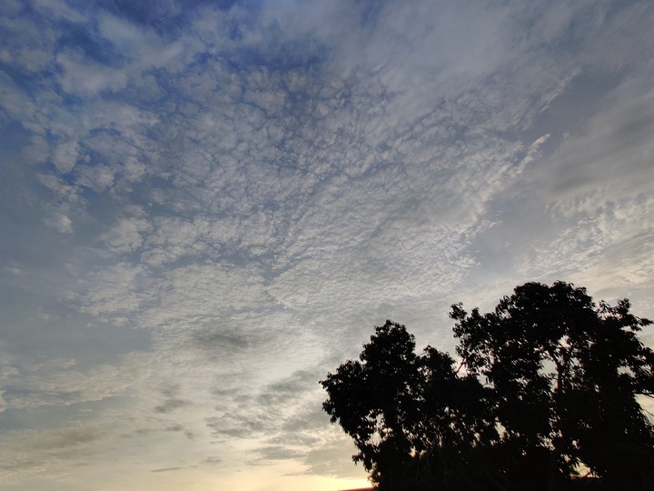 Morning Weather