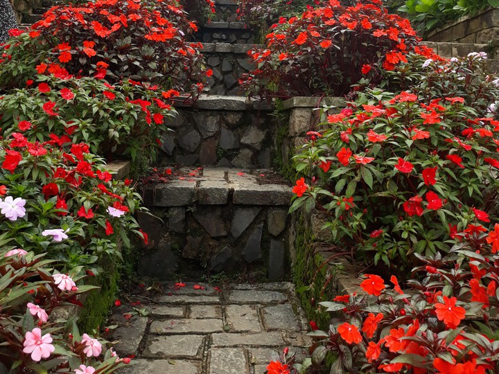 Red staircase