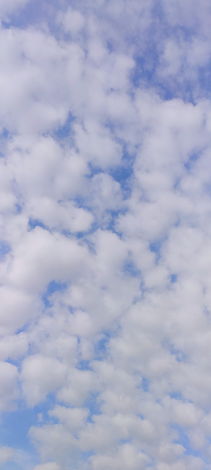cloud....