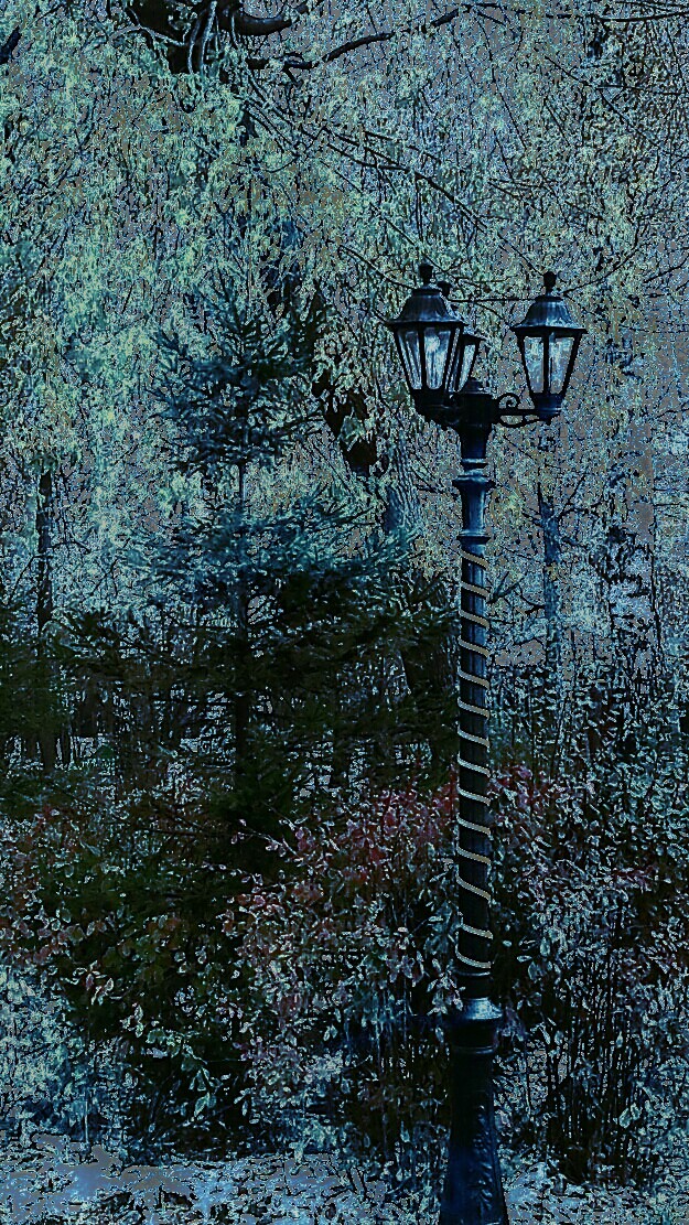 сумерки