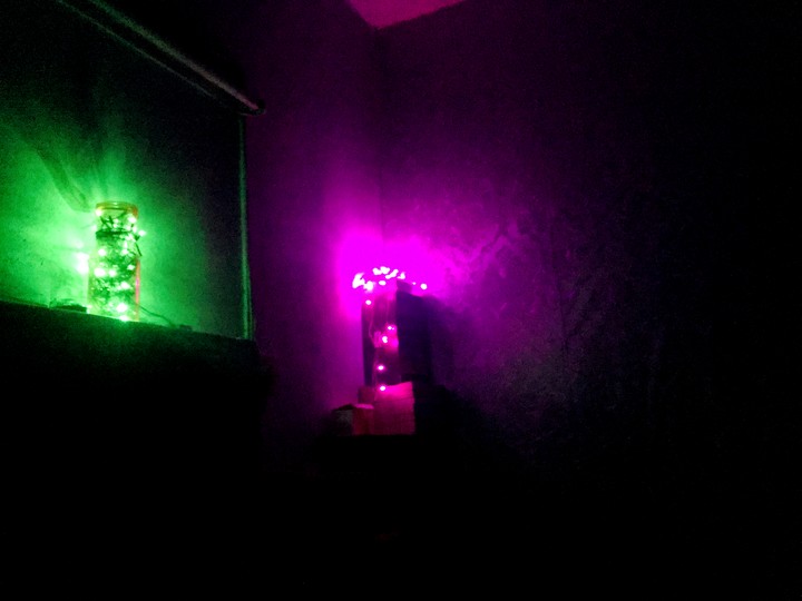 ALONE NIGHT