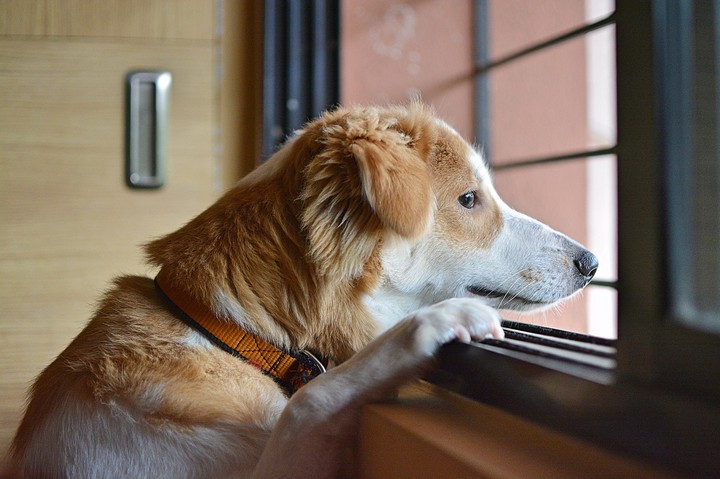 waiting for.....