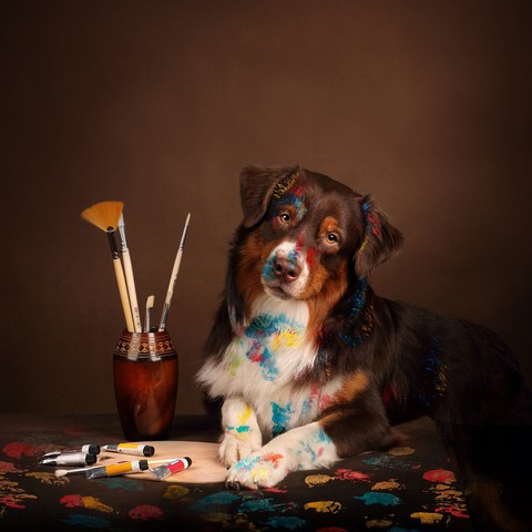 un peintre canin mdr