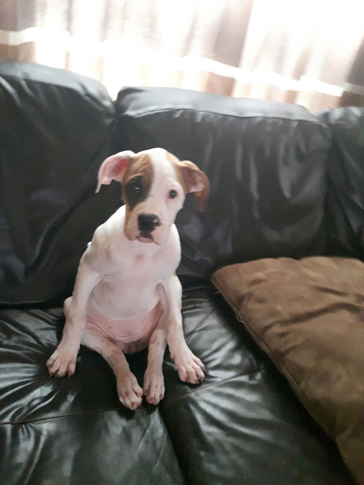 sitting on the couch