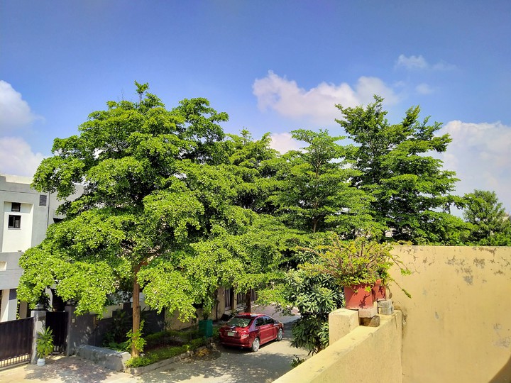 Sunny & Hot day
