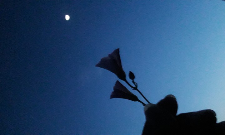 night