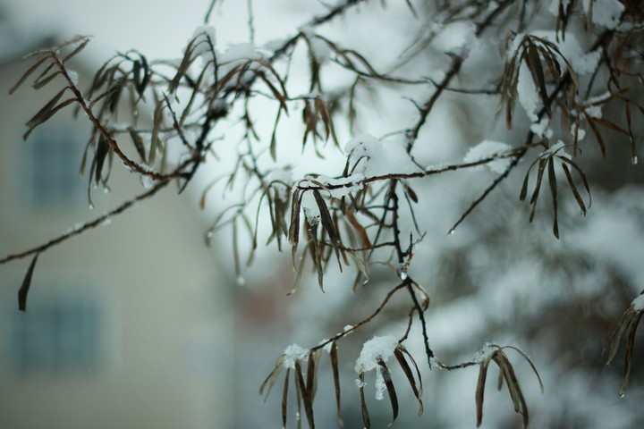 winter is comming