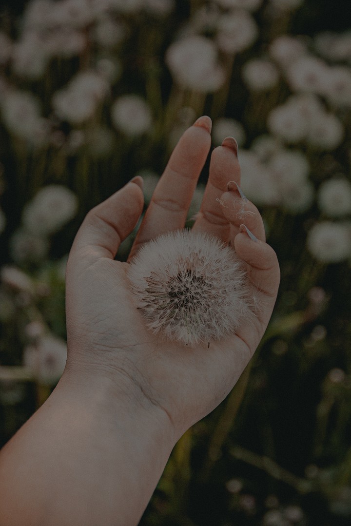 get inspired by everyday life