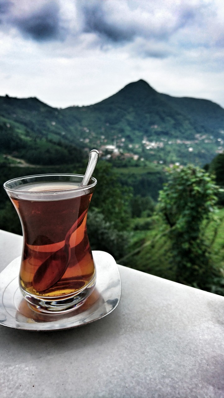 Bahçeden bardağa