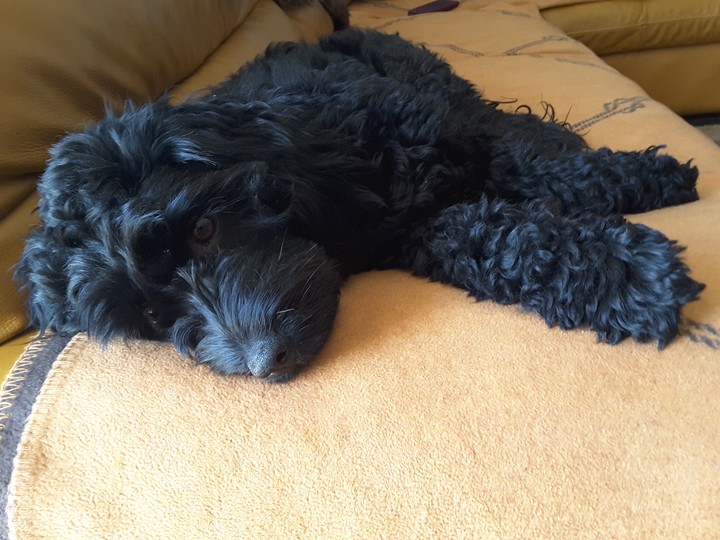 Tired
