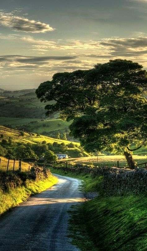Beautiful view