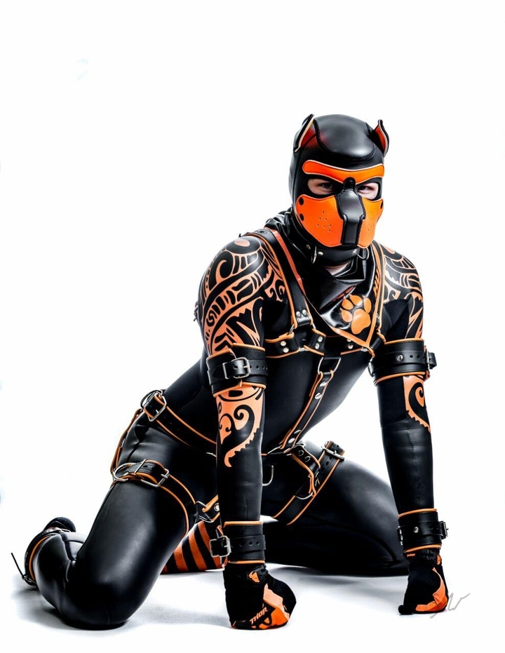 Rubber Puppy