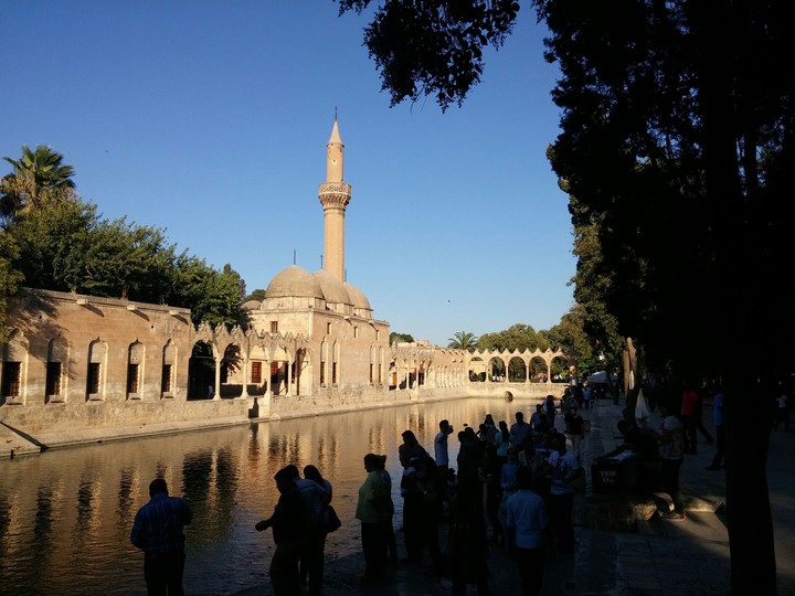 Urfa balikligöl