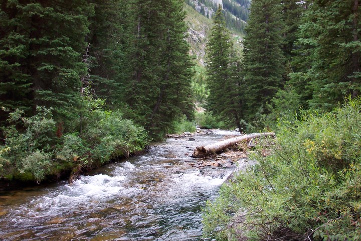 Cascade Creek 1