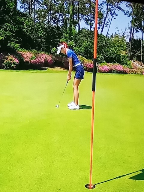 тапети tree, Golf
