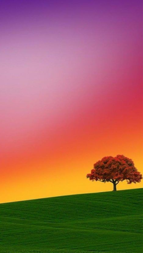 tree