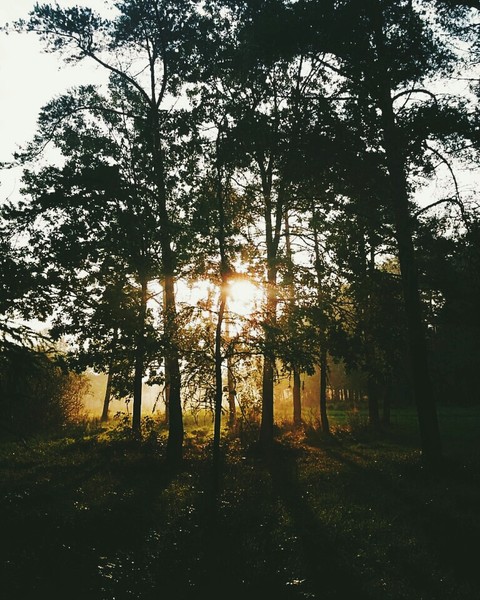 Park