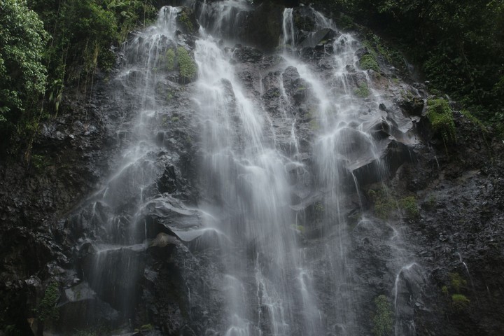 nature