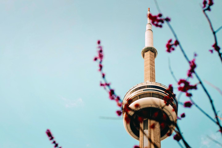 Cherry Blosem, Seoul tower view
