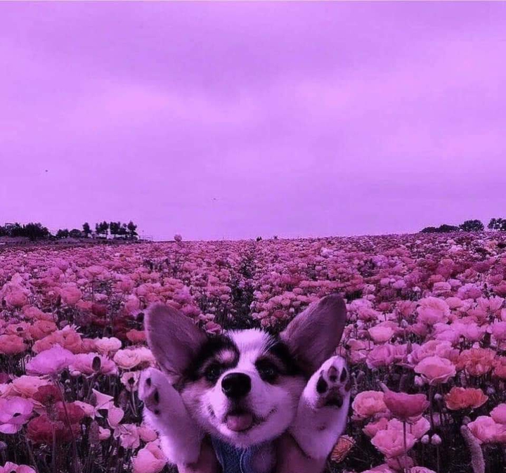 ♥️
