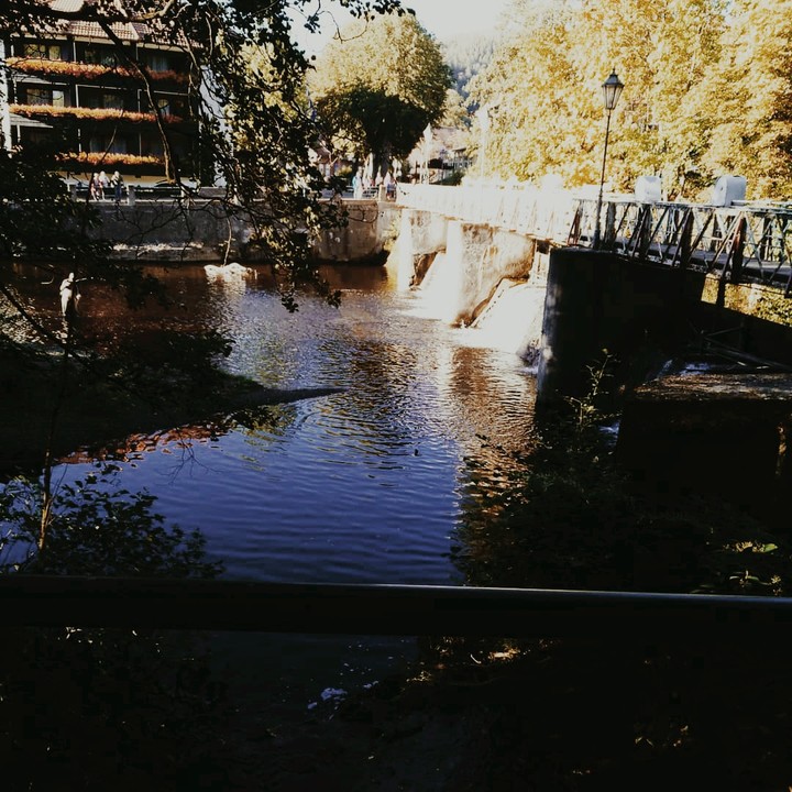 Im Park