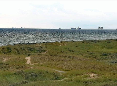 Meer