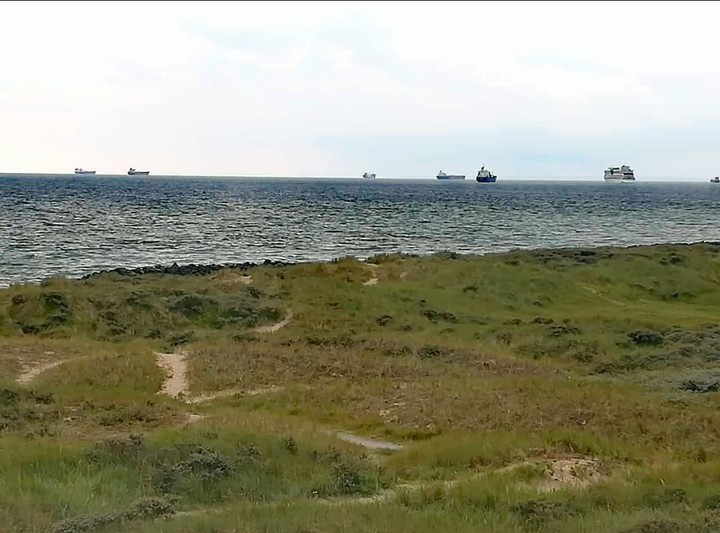 Meer